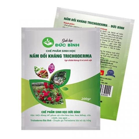 Nấm đối kháng trichoderma giúp cây trồng phòng và trị bệnh về nấm hiệu quả đồng thời bảo vệ và kích thích rễ phát triển mạnh