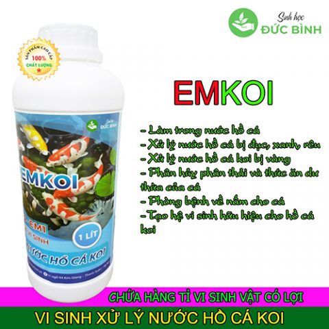 Vi sinh xử lý nước hồ cá koi EMKOI